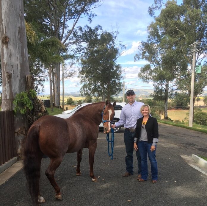 Is the Southern Hemisphere an opportunity for US stallions? You bet!

