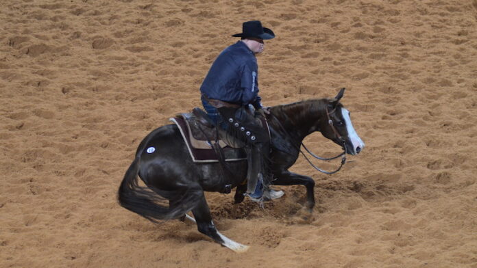 Results of the 2019 Augusta Futurity Sale

