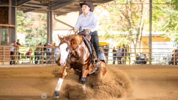 Results of the Austrian Reining Futurity Non-Pro

